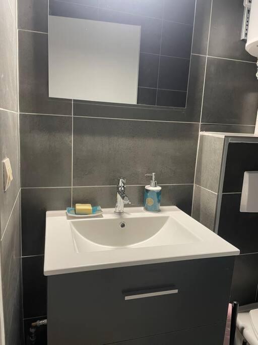 Appartement Duplex T1 Albertville Kültér fotó