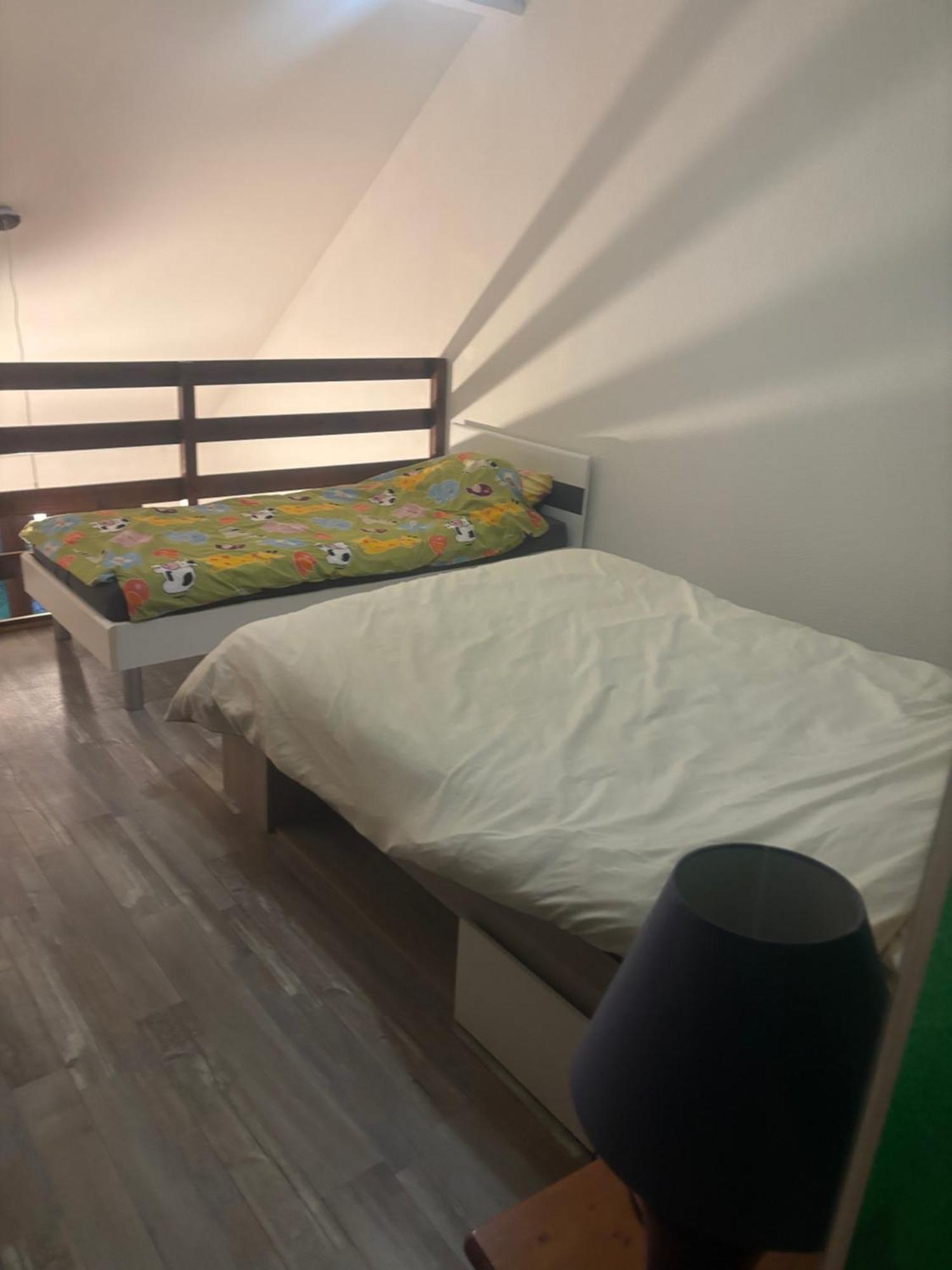 Appartement Duplex T1 Albertville Kültér fotó